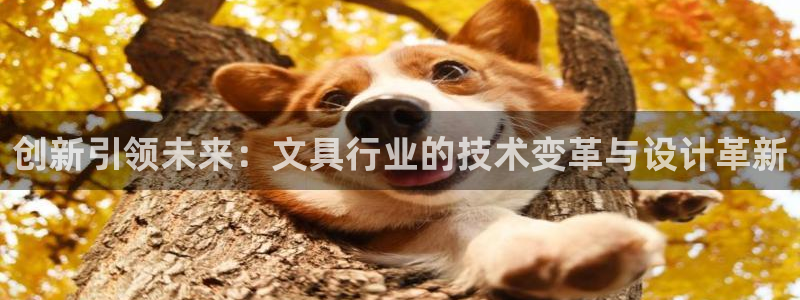 卧龙棋牌娱乐：创新引领未来：文具行业的技