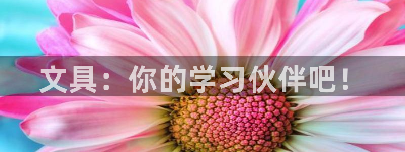 卧龙凤雏娱乐直播间：文具：你的学习伙伴吧