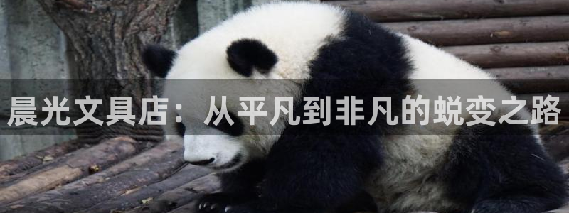 BA娱乐卧龙招商60447：晨光文具店：