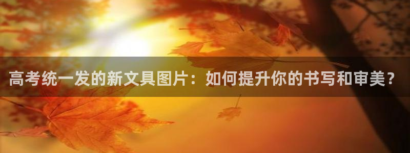 娱乐聚焦卧龙凤雏：高考统一发的新文具图片