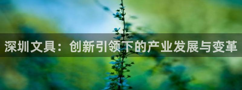 卧龙娱乐可靠吗：深圳文具：创新引领下的产