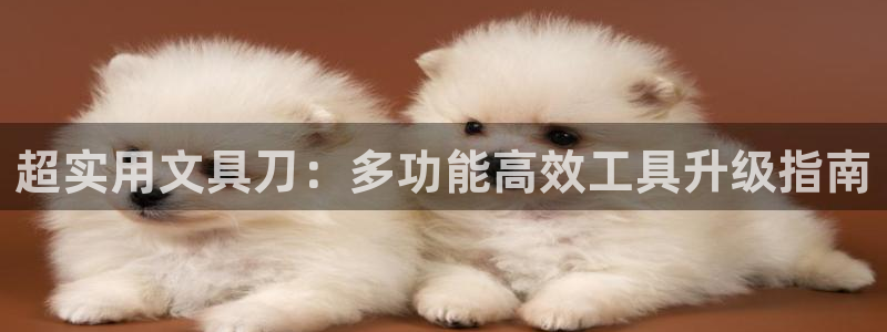 卧龙凤雏娱乐号：超实用文具刀：多功能高效