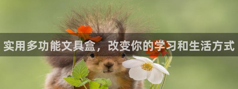 卧龙娱乐平台可靠吗：实用多功能文具盒，改