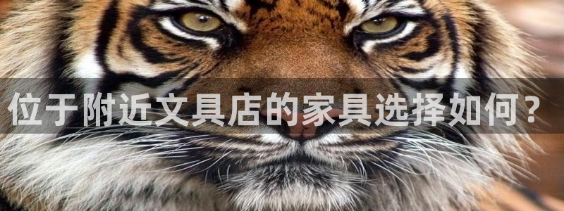 南阳卧龙区娱乐：位于附近文具店的家具选择