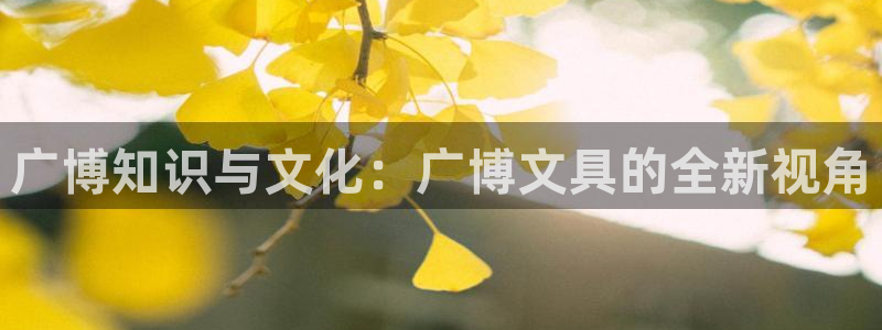 大娱乐家卧龙先生：广博知识与文化：广博文