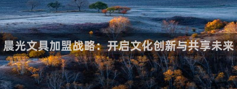 卧龙娱乐属于什么公司：晨光文具加盟战略：