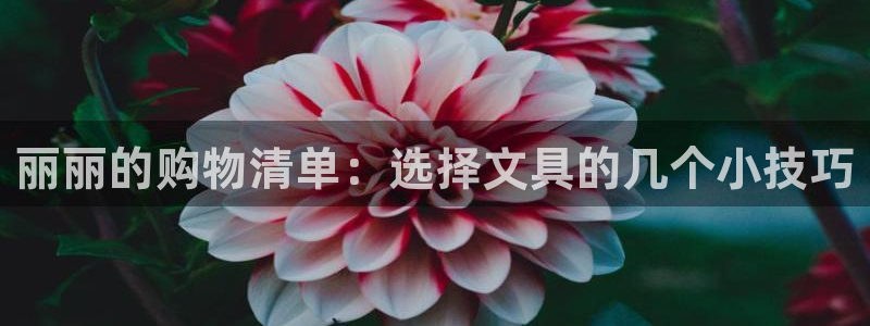 卧龙娱乐注册链接：丽丽的购物清单：选择文