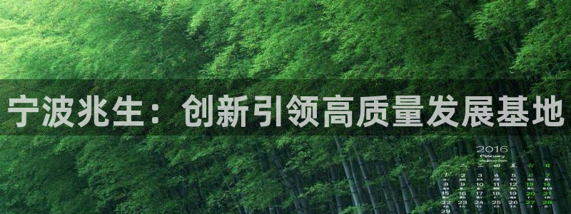 卧龙娱乐总管是谁：宁波兆生：创新引领高质