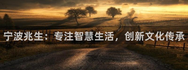 SKY娱乐 卧龙主管60447：宁波兆生