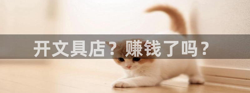 泰安卧龙大观娱乐中心：开文具店？赚钱了吗