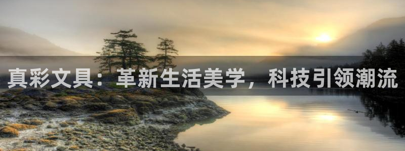 卧龙娱乐挂机平台：真彩文具：革新生活美学