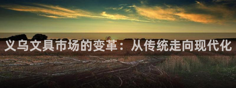 卧龙娱乐地：义乌文具市场的变革：从传统走