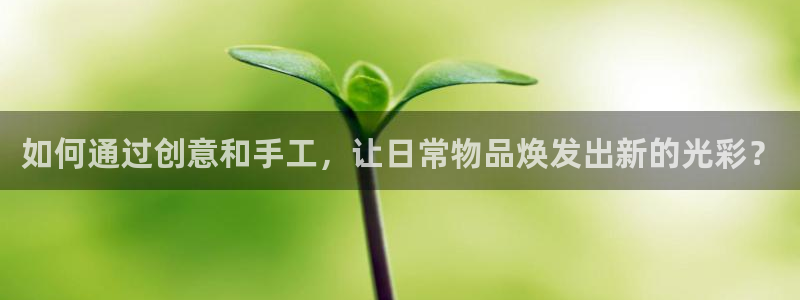 娱乐卧龙：如何通过创意和手工，让日常物品