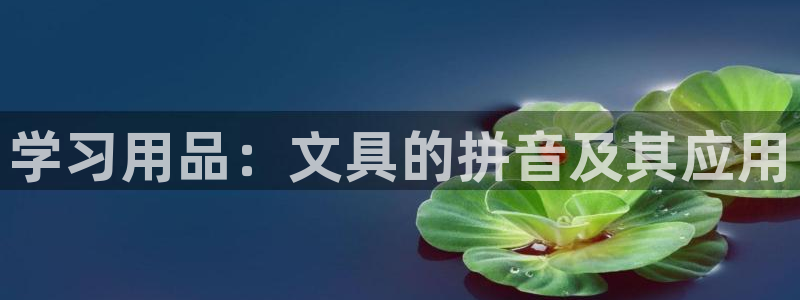 卧龙区休闲娱乐推荐：学习用品：文具的拼音