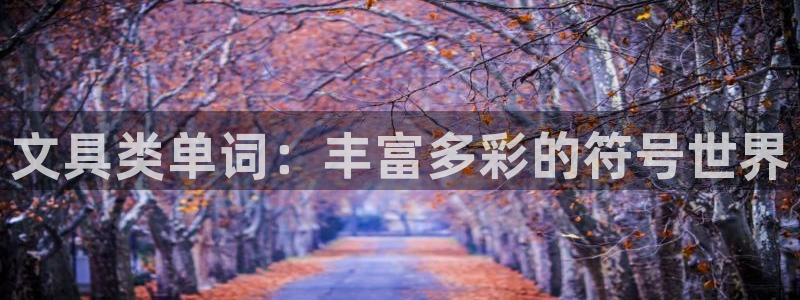 卧龙娱乐怎么注册新账号：文具类单词：丰富