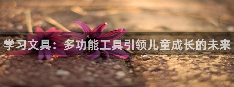 绥阳卧龙湖娱乐：学习文具：多功能工具引领