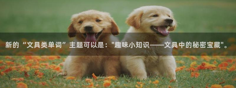 卧龙娱乐在线直播网：新的“文具类单词”主