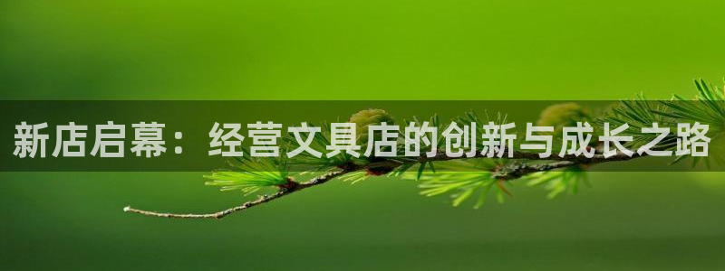 卧龙娱乐3月10日开：新店启幕：经营文具