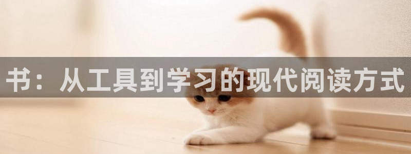 卧龙娱乐挂机软件下载：书：从工具到学习的