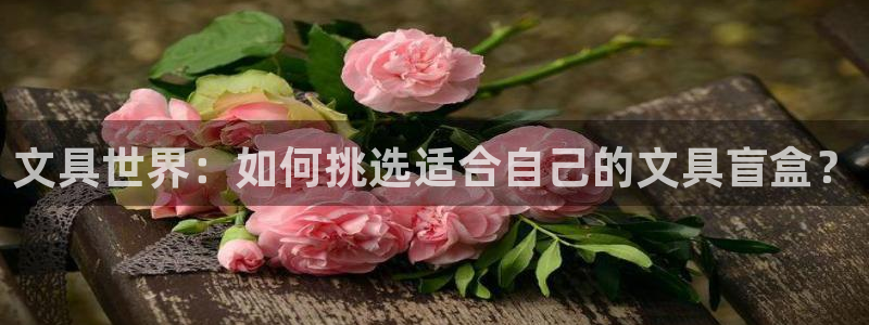卧龙娱乐怎么注册：文具世界：如何挑选适合