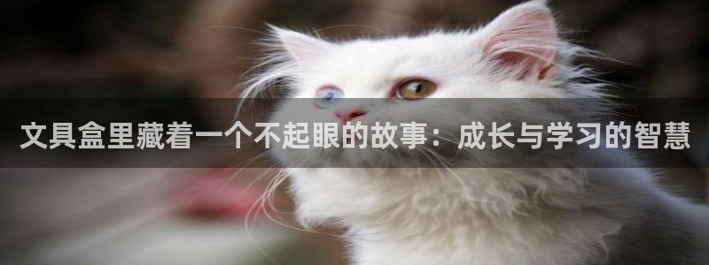 卧龙娱乐招商主管：文具盒里藏着一个不起眼