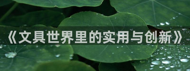 卧龙港娱乐城：《文具世界里的实用与创新》