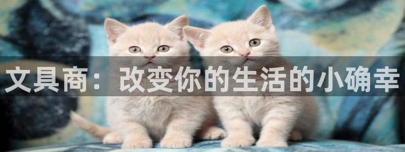 卧龙凤雏娱乐收入：文具商：改变你的生活的