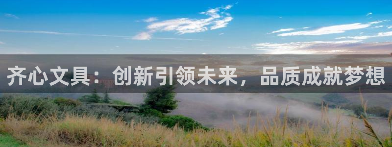卧龙娱乐注册登录：齐心文具：创新引领未来