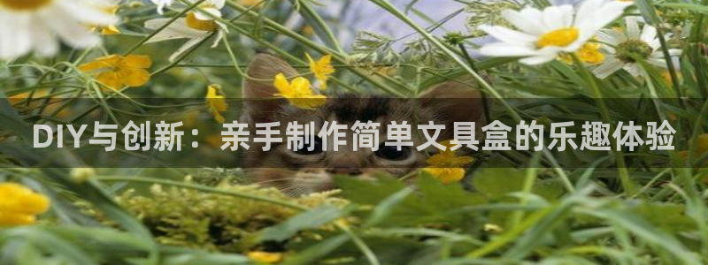 卧龙娱乐滴qv382223：DIY与创新
