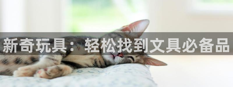 卧龙娱乐怎样注册账号啊：新奇玩具：轻松找