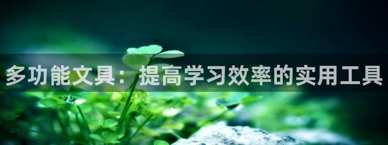 卧龙娱乐彩票：多功能文具：提高学习效率的