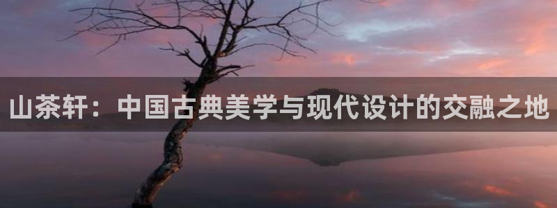 太和卧龙娱乐会所：山茶轩：中国古典美学与