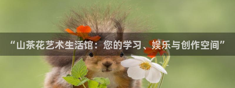 卧龙娱乐气垫项目投资：“山茶花艺术生活馆
