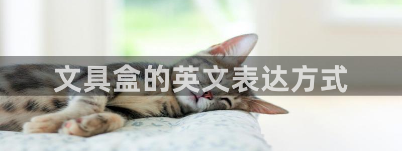 绥阳卧龙湖娱乐场地：文具盒的英文表达方式