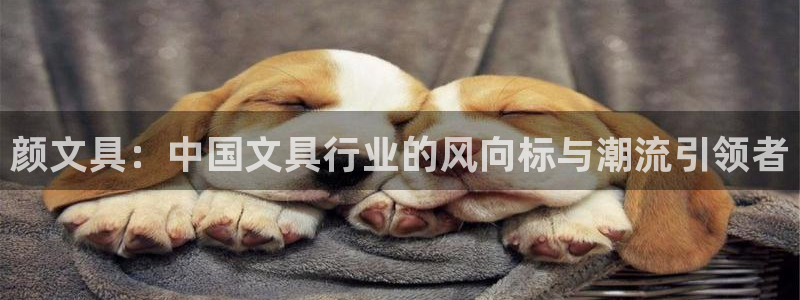 西安卧龙娱乐播报：颜文具：中国文具行业的