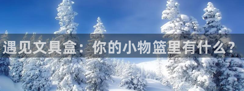PT娱乐 扣卧龙60447：遇见文具盒：
