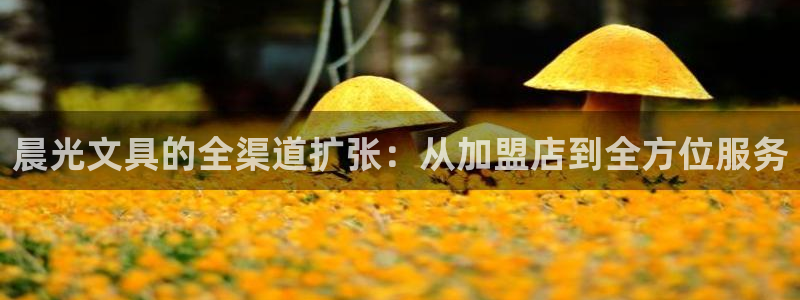 卧龙娱乐找382223：晨光文具的全渠道