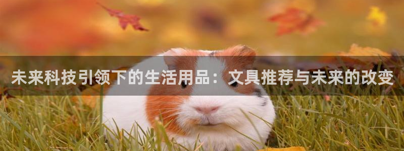 柏林娱乐- 0 7卧龙：未来科技引领下的