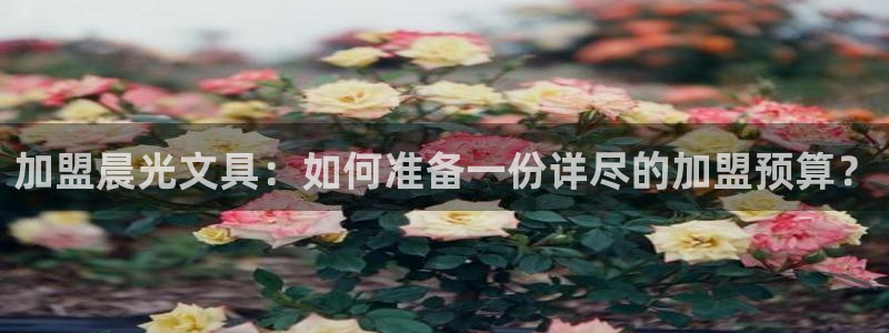 卧龙娱乐山西：加盟晨光文具：如何准备一份