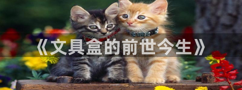 创亿娱乐d卧龙313322：《文具盒的前