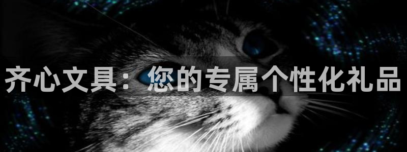 卧龙娱乐山西：齐心文具：您的专属个性化礼