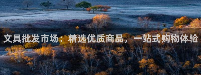 BA娱乐卧龙主管60447：文具批发市场