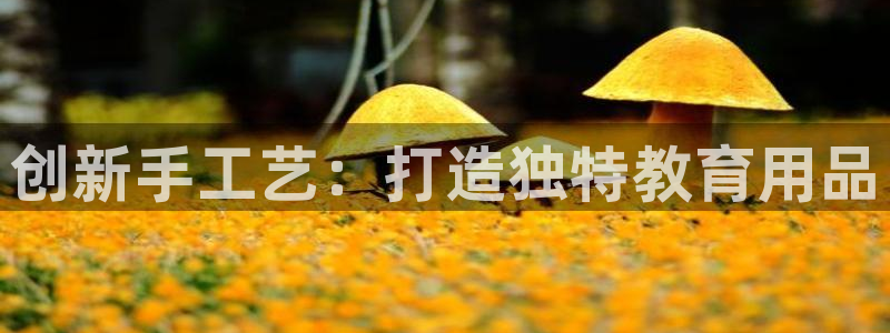 卧龙娱乐上：创新手工艺：打造独特教育用品