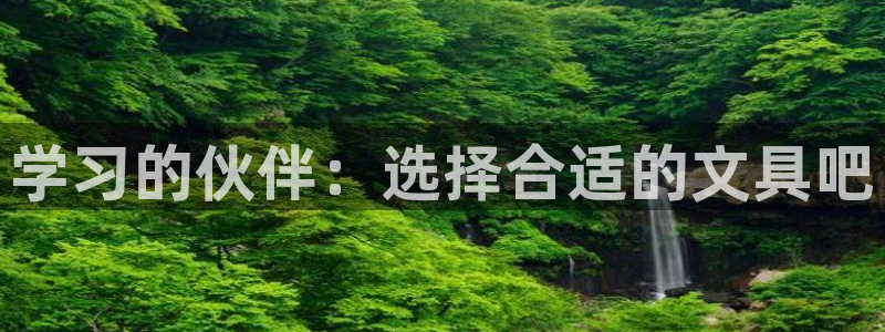 卧龙环岛儿童娱乐：学习的伙伴：选择合适的