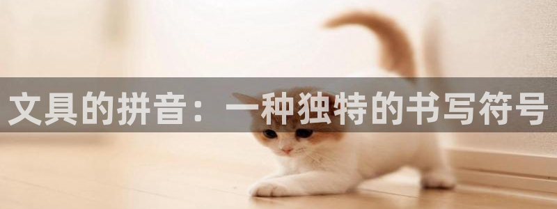 卧龙娱乐app下载苹果：文具的拼音：一种