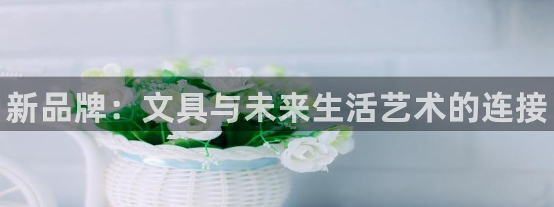 星酱娱乐卧龙：新品牌：文具与未来生活艺术