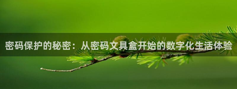 卧龙娱乐怎么样：密码保护的秘密：从密码文