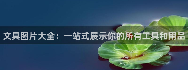 卧龙棋牌娱乐：文具图片大全：一站式展示你