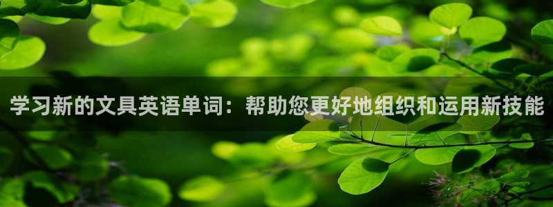 卧龙娱乐主管是谁呀：学习新的文具英语单词