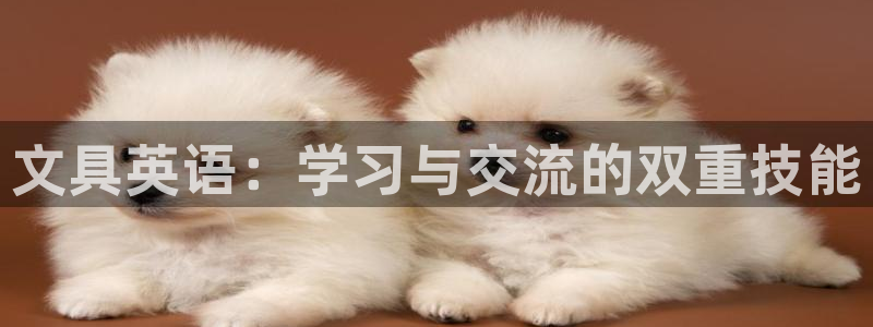 mvp娱乐 卧龙招商60447：文具英语